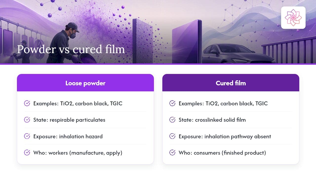 Powder versus cured film exposure pathways